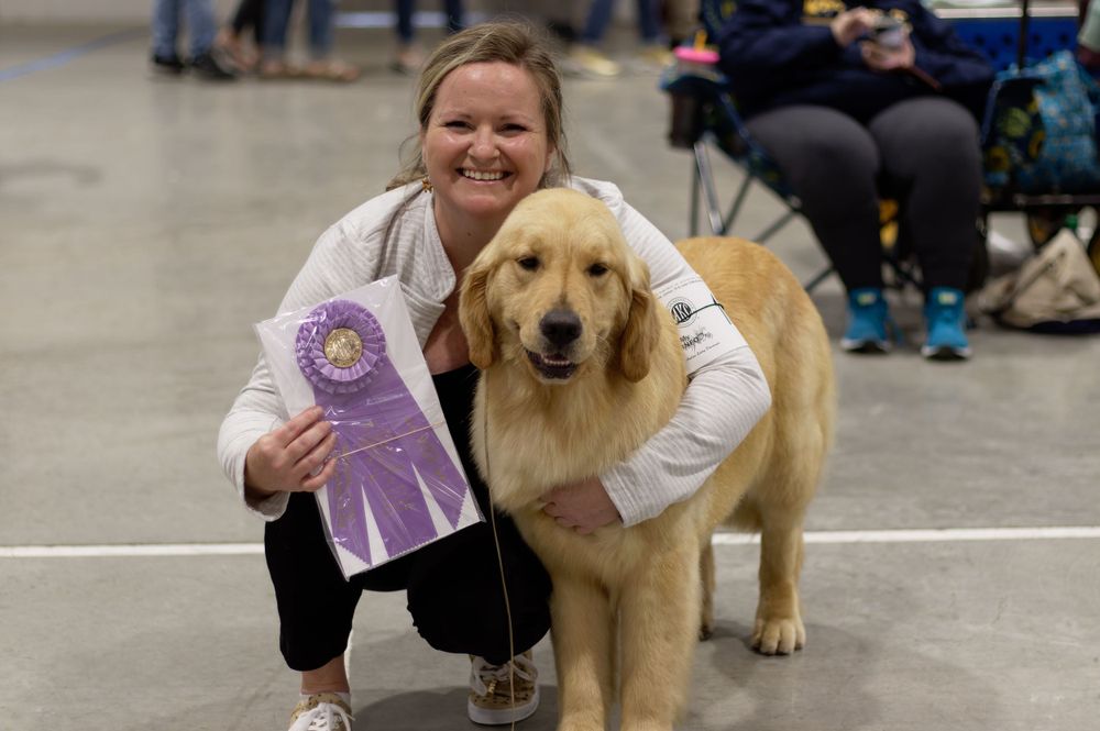 Blonde white woman bending down and hugging golden retriever dog while holding purple win rosette ribbon in other hand