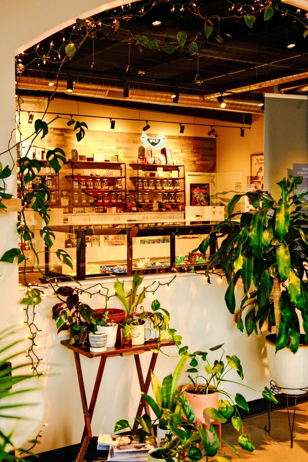 Cannabis Retail Photography North Shore MA