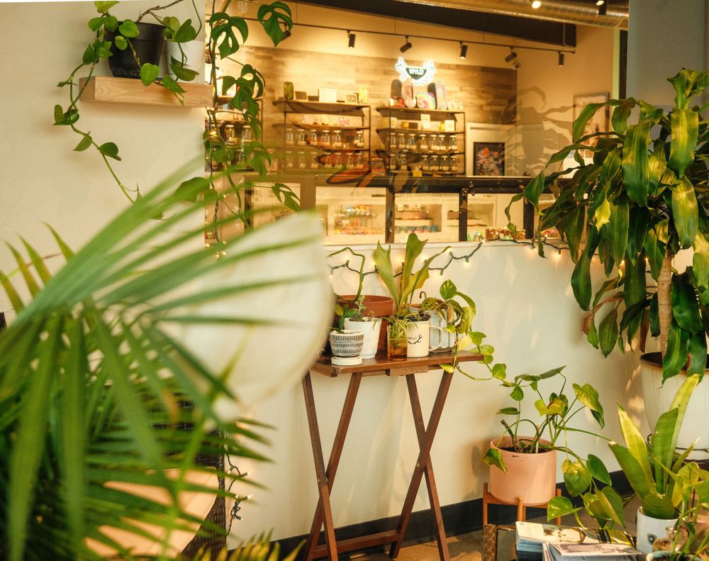 Dispensary Lifestyle Photography MA