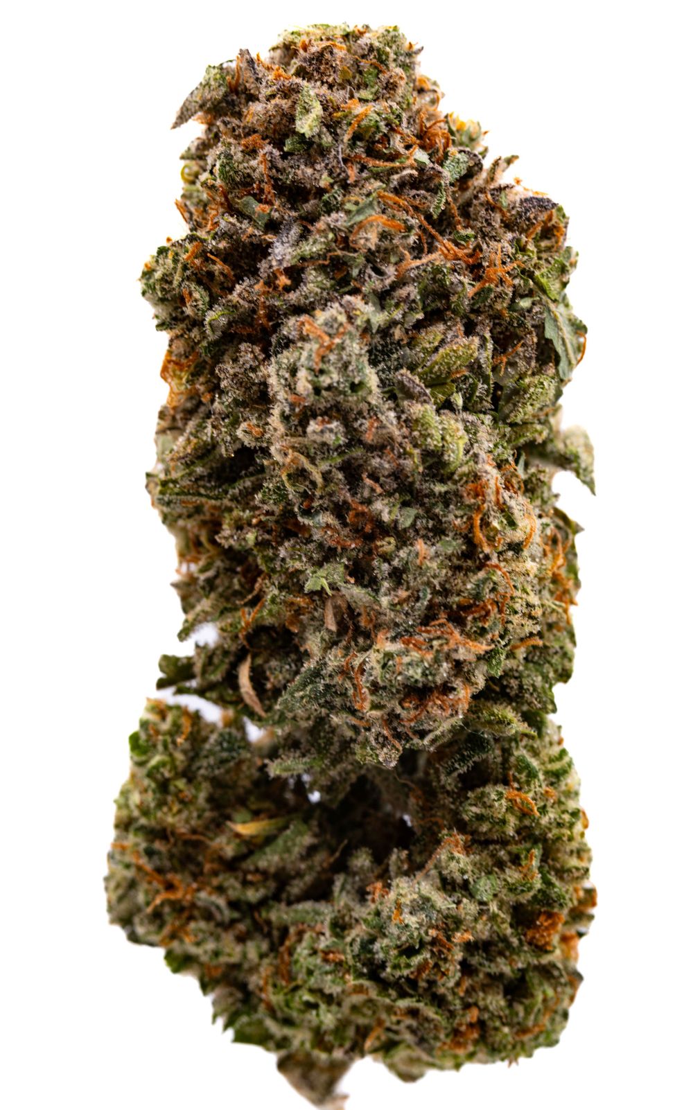 Cannabis Brand Photographer Near Me