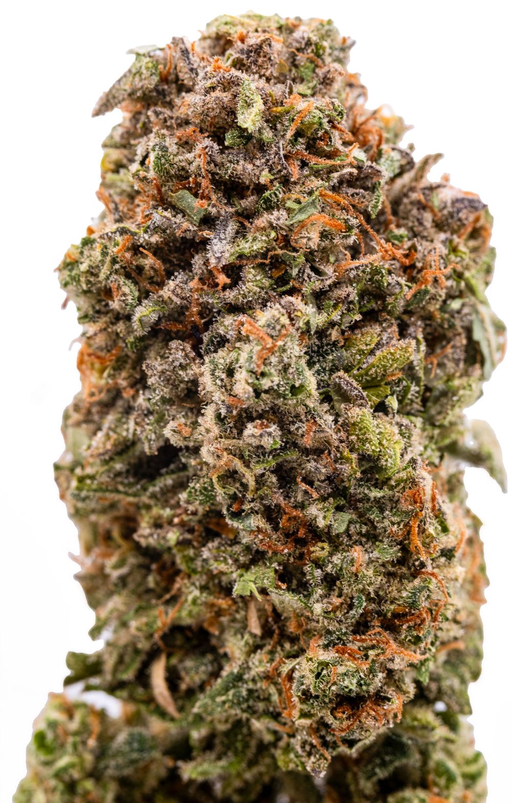 Cannabis Marketing Photography