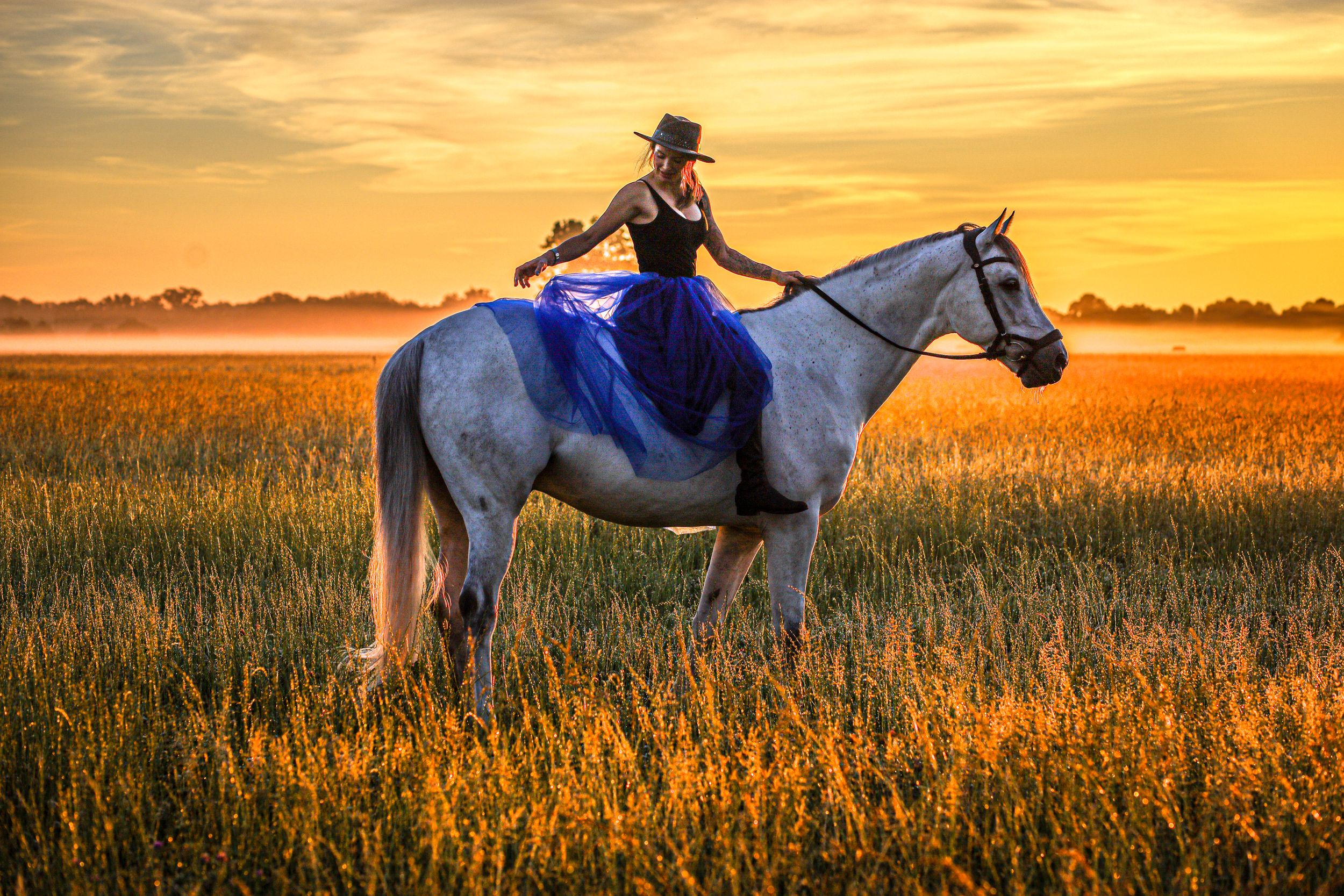 A rider in a blue dress sits atop a white horse in a golden field at sunset.