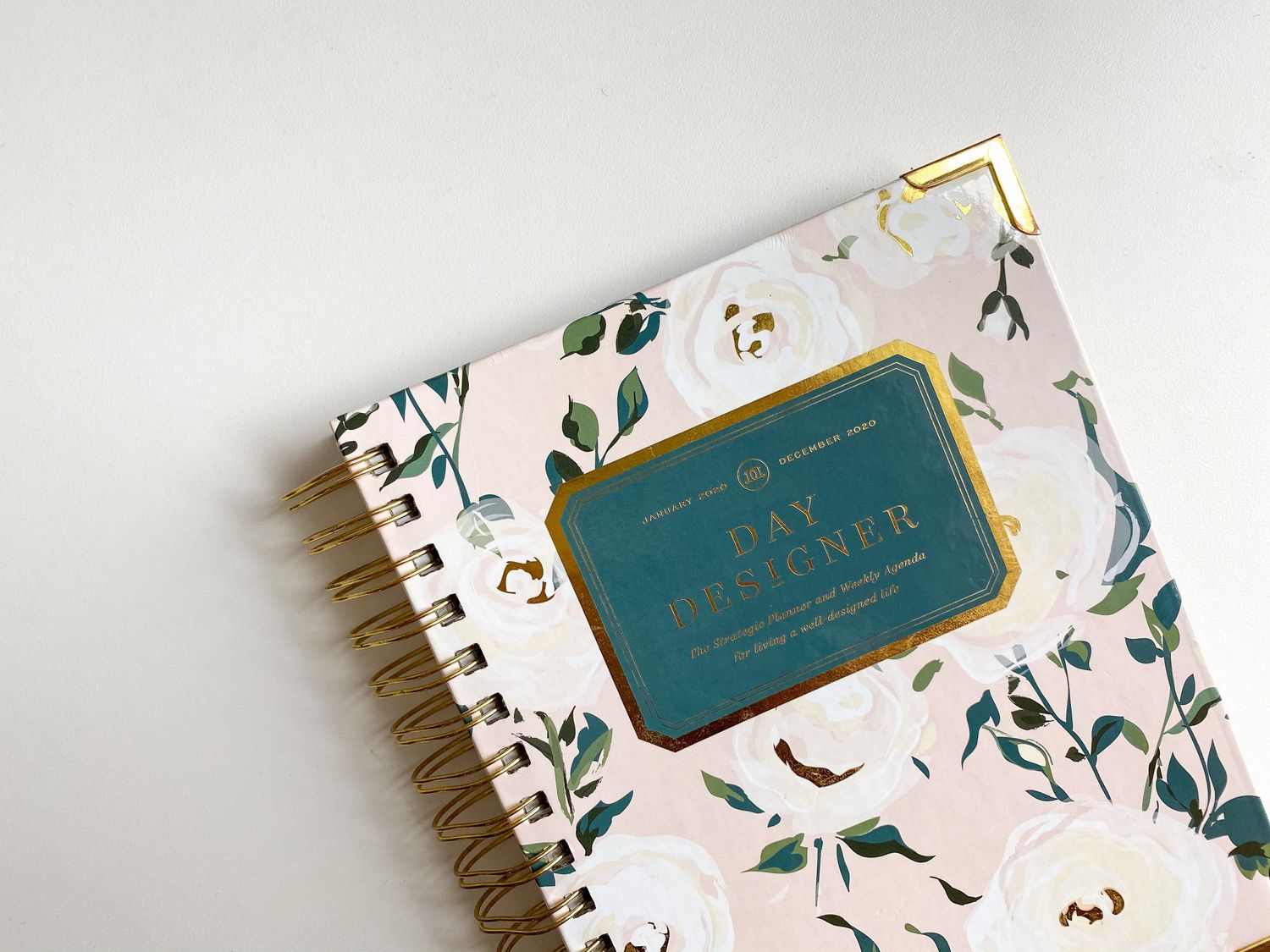 Reflections and business highlights from 2020, from Taylor of Taylor Koch Photography in Austin, Texas.