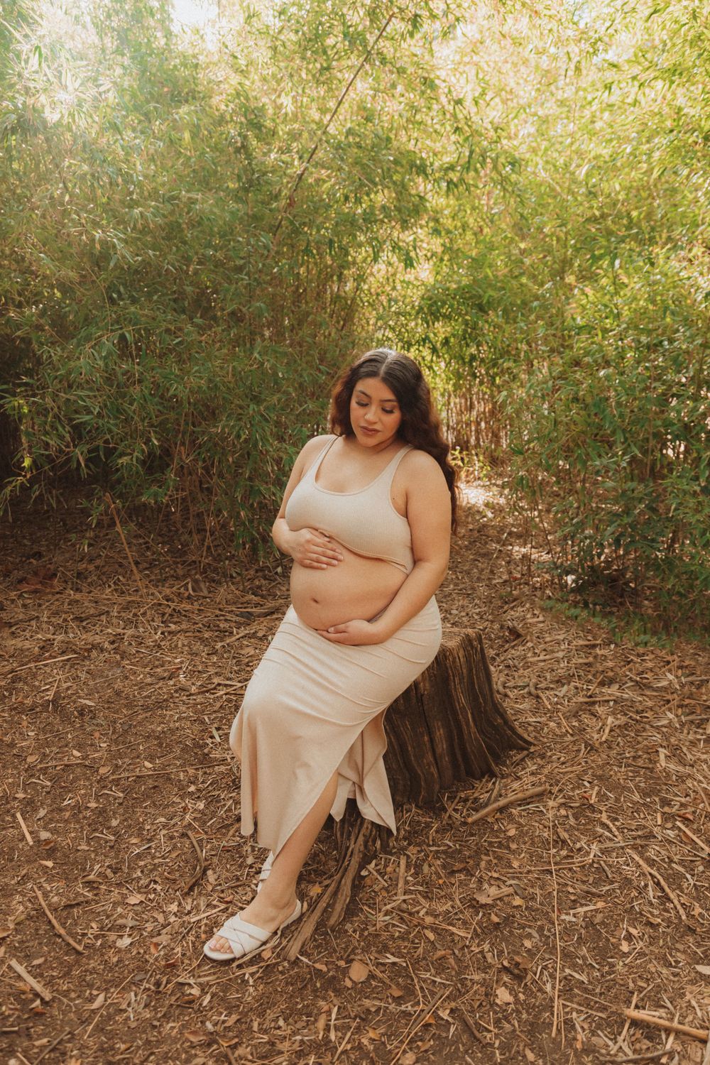 A serene maternity portrait taken on a tree stump with dappled sunlight through the trees.