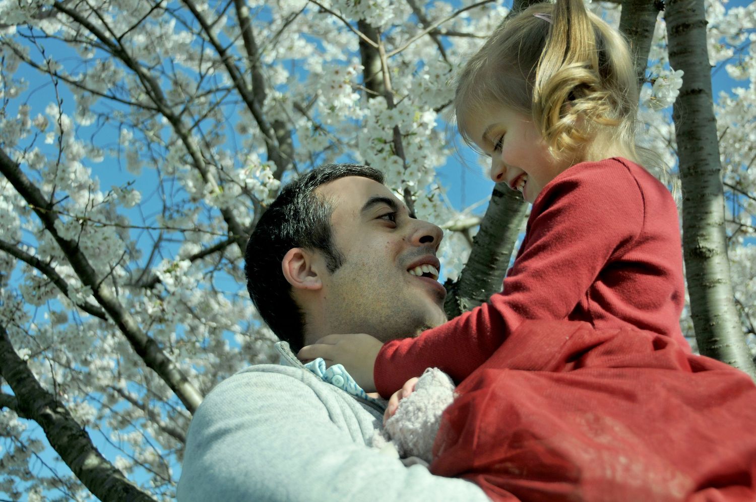Daddy holding daughter springtime photo