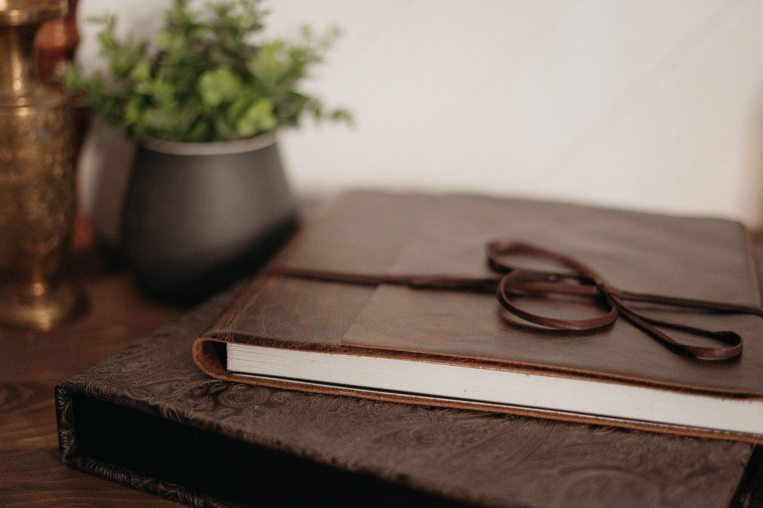 Leather-bound album with glasses on wooden surface near potted plant.