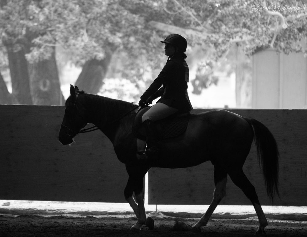 horse riding photos