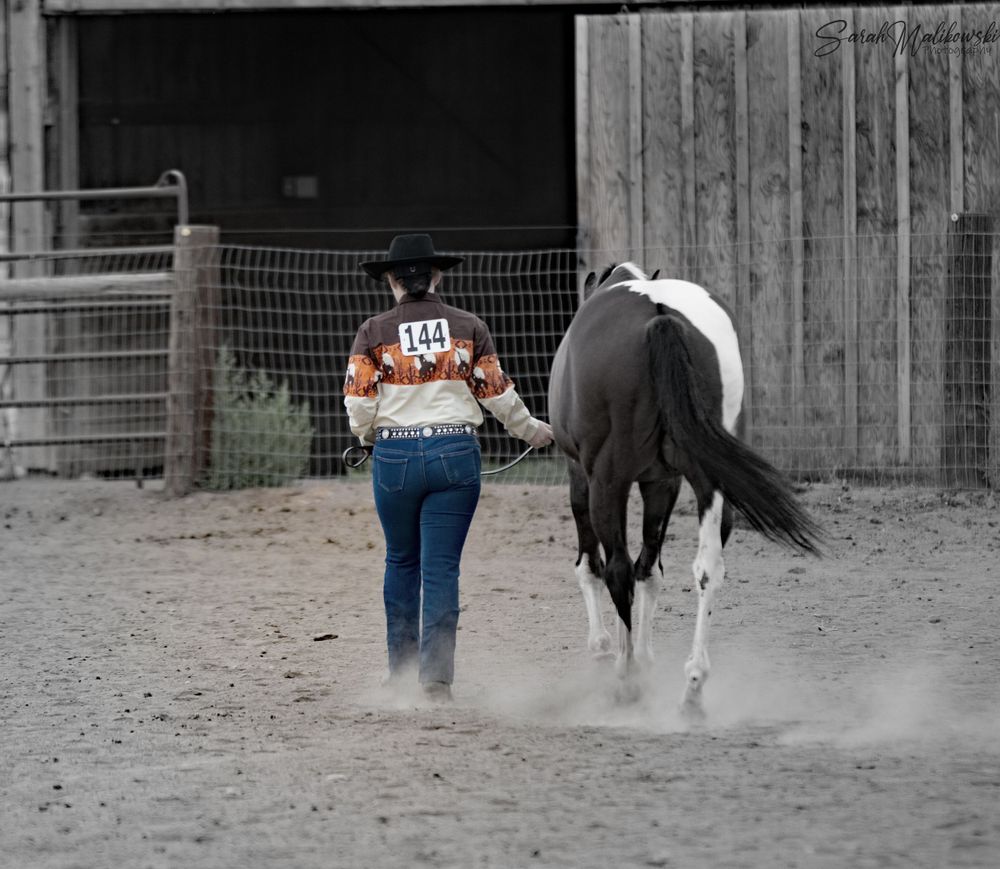 horse riding photos