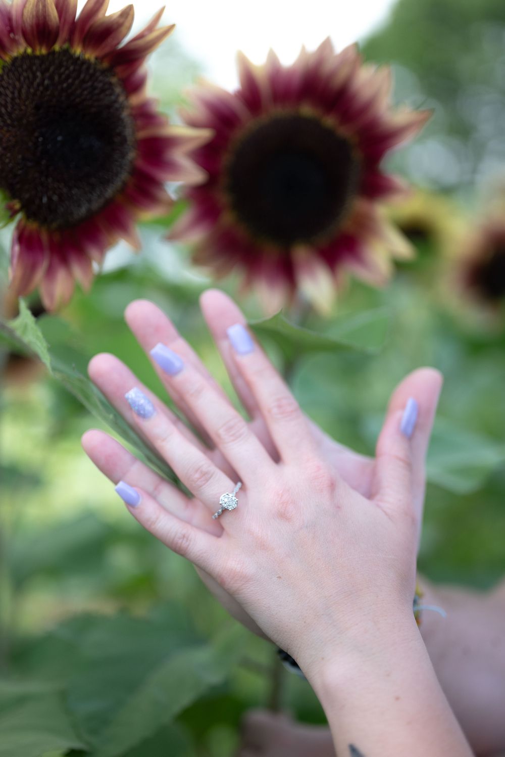 Engagement session at sunflower field
