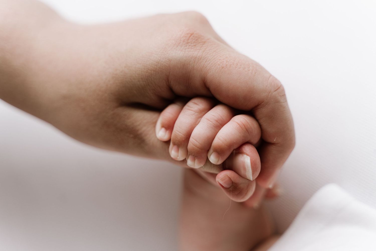 Little Moments Photography Premium Babybauch und Baby Fotografin Stein am Rhein