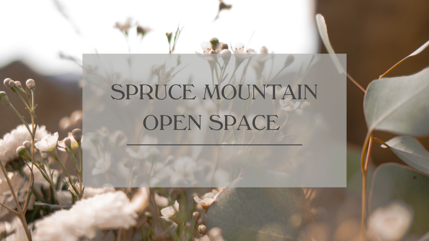 wildflower florals with open sky in the background