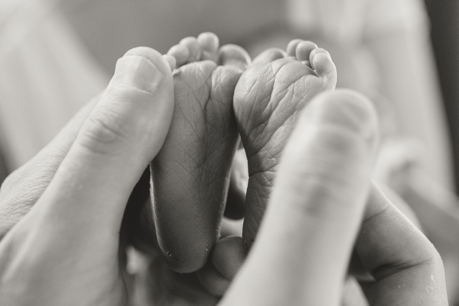 Newborn Baby detail feed at Newborn Photoshoot in Lake Macquarie, Newcastle, Hunter Valley, New South Wales