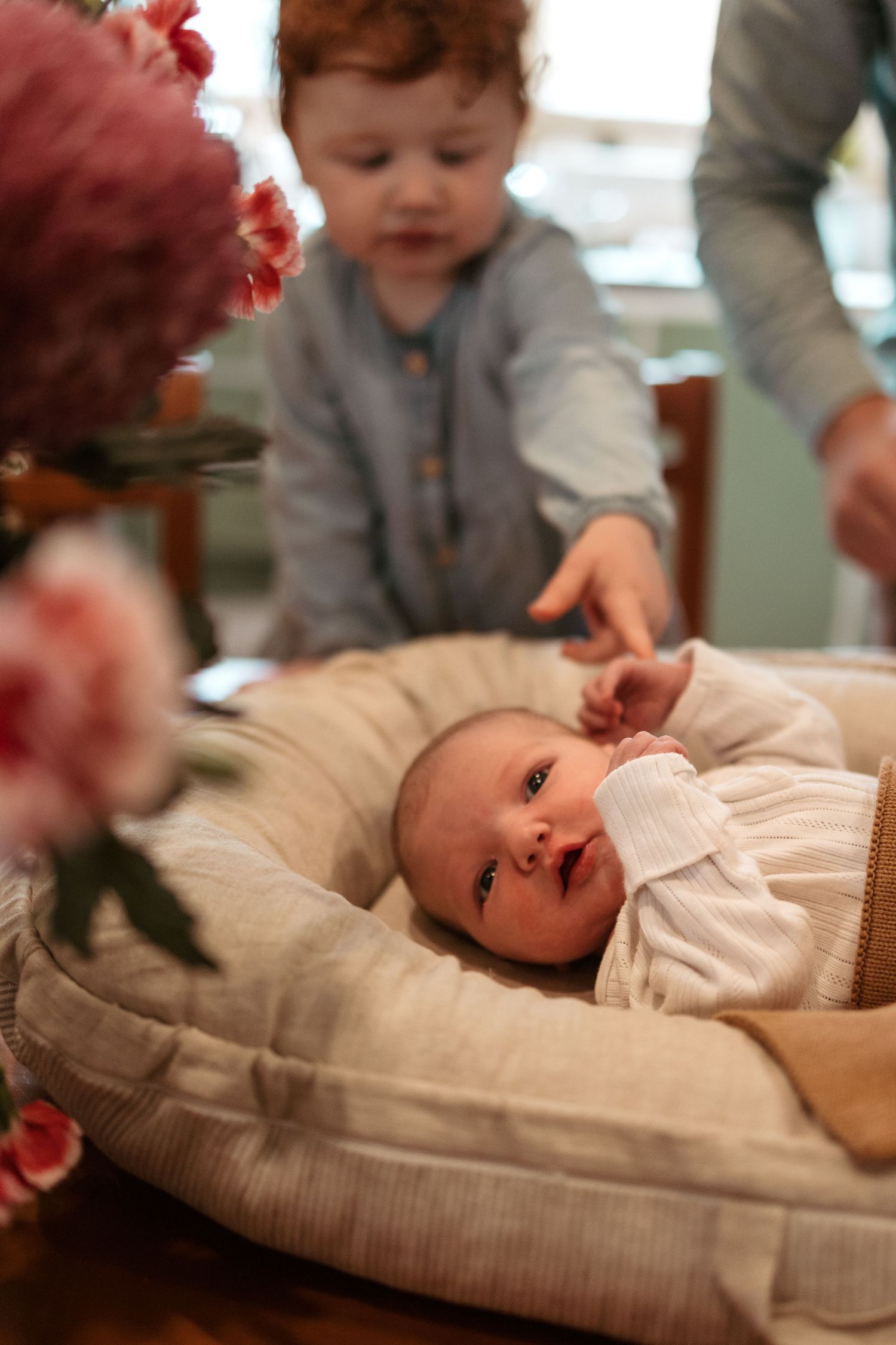 Newborn Baby and sibling at Newborn family Photoshoot in Lake Macquarie, Newcastle, Hunter Valley, New South Wales