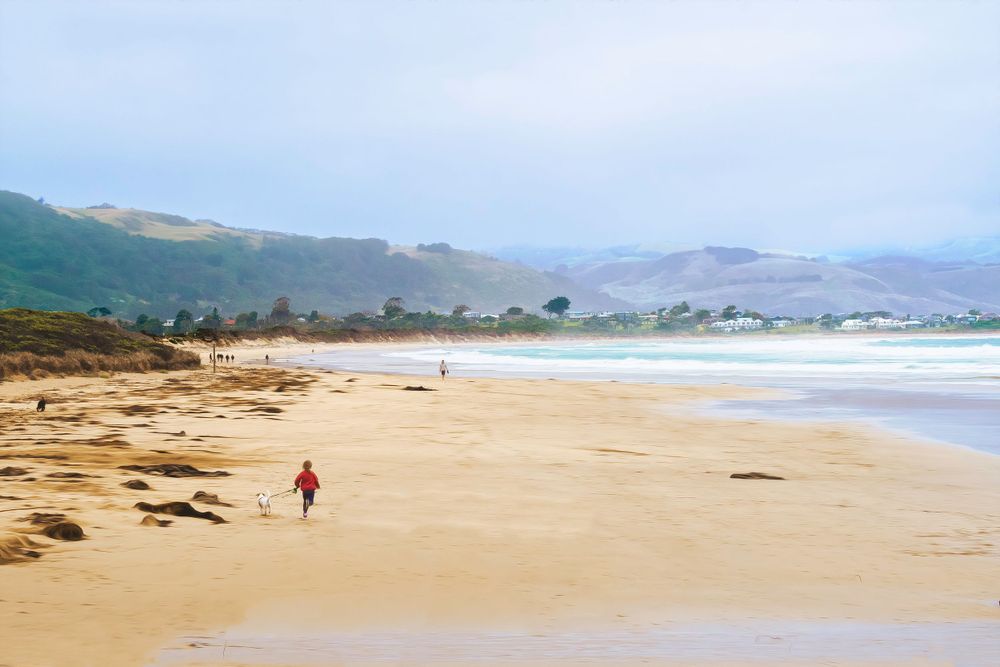 Apollo Bay views