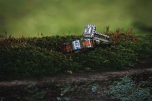 Wedding rings placed on mossy ground with artistic macro photography.