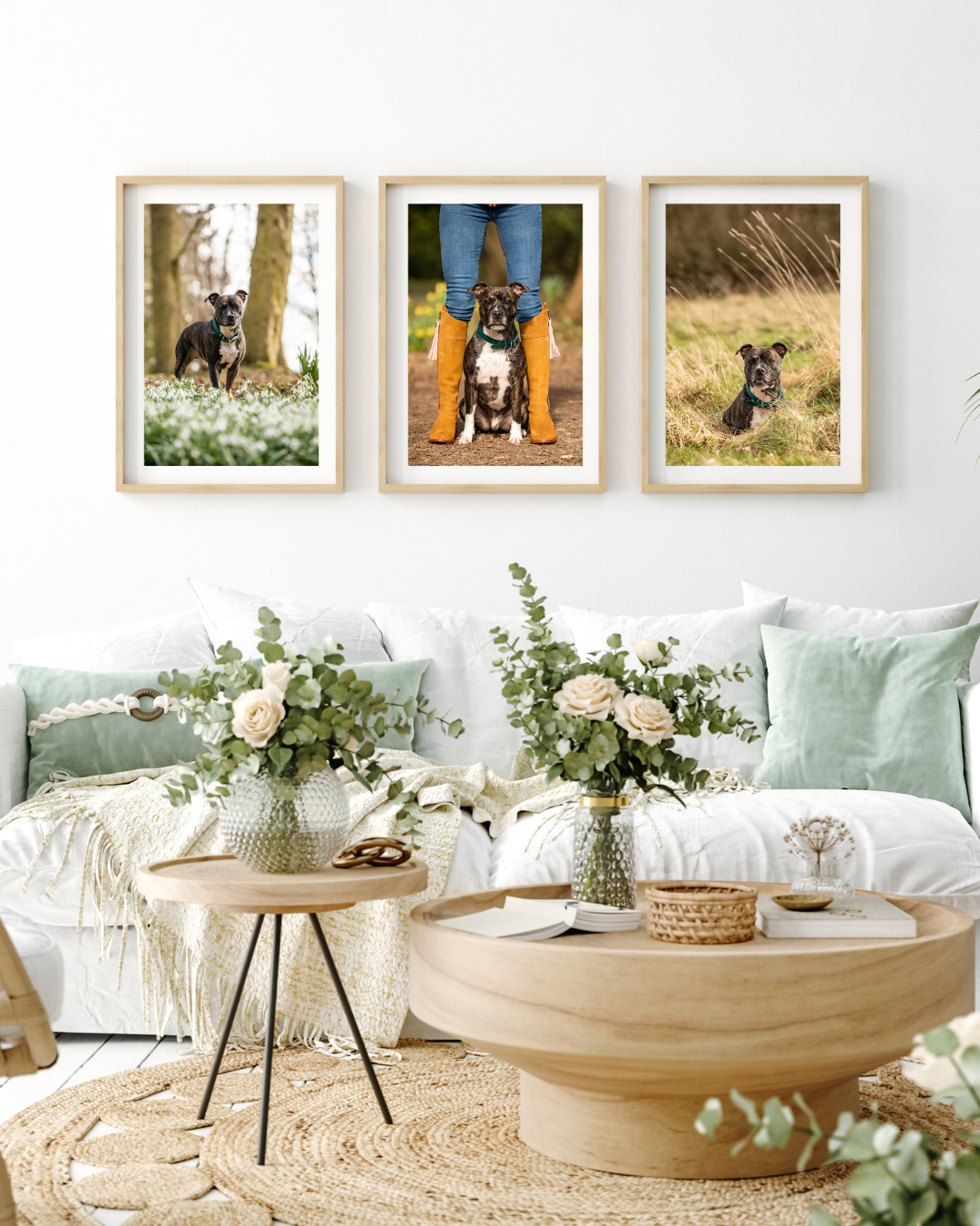 Three framed dog portraits displayed in a cozy living room with white couch and floral arrangements.