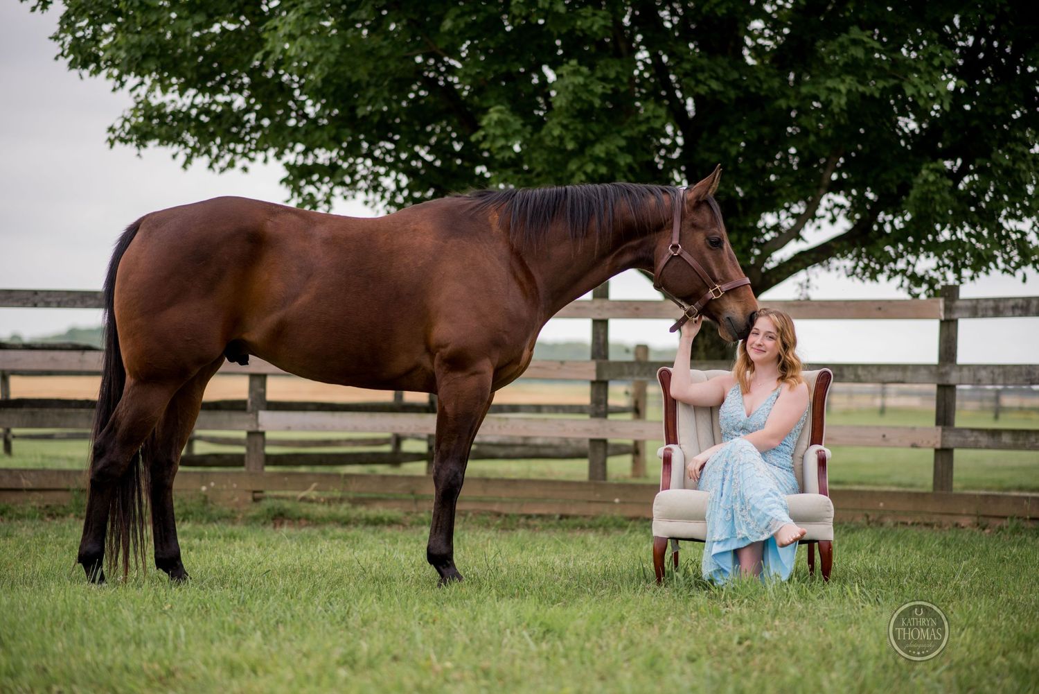 Young woman in a light blue dress sits in an elegant chair next to a brown horse in a fenced pasture.