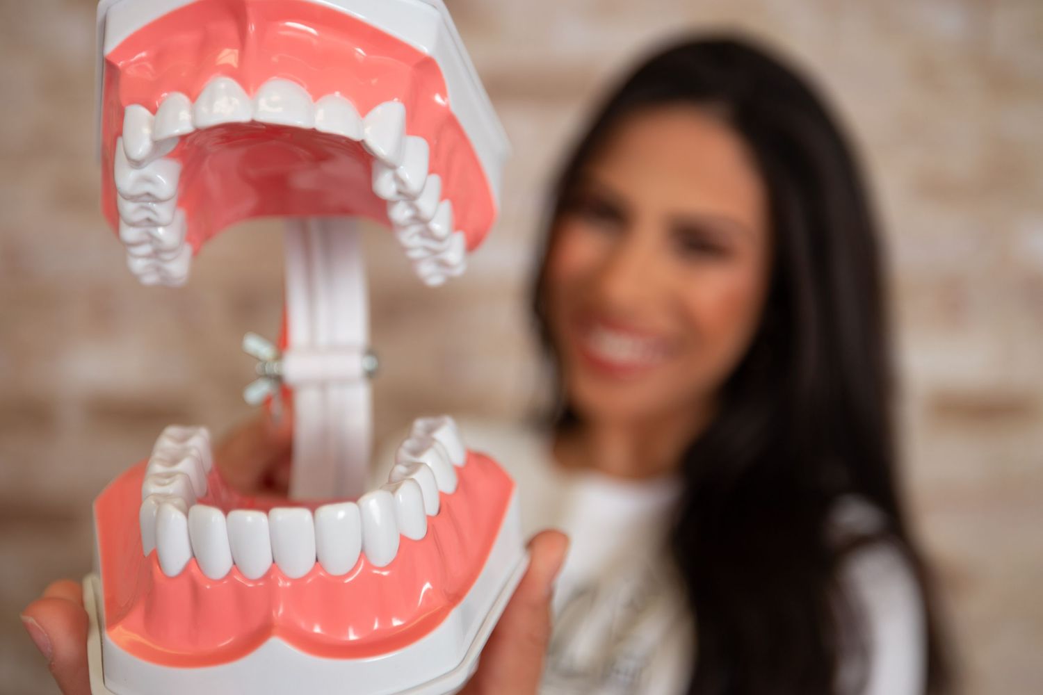 Dental professional holding up educational model of teeth and gums for demonstration.