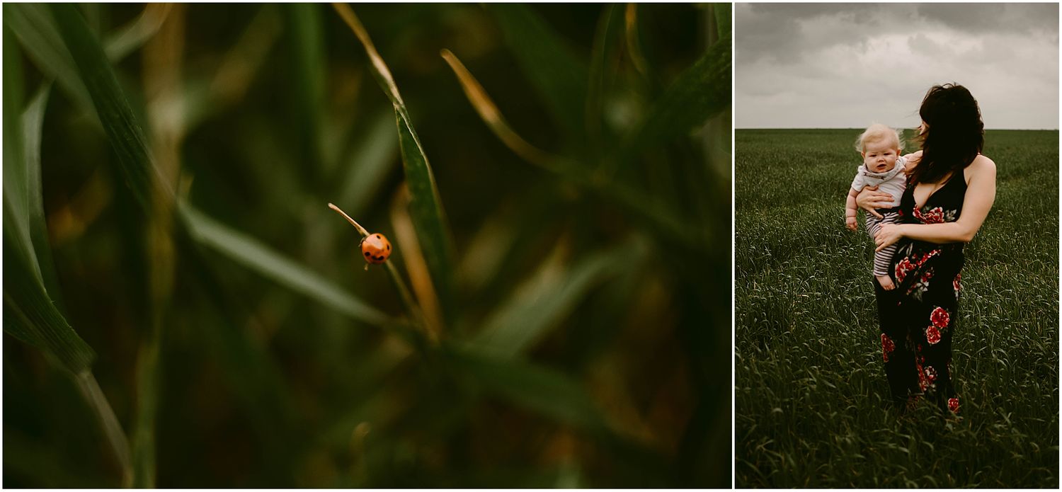 Macro shot of ladybug on grass blade juxtaposed with figures in a stormy field.