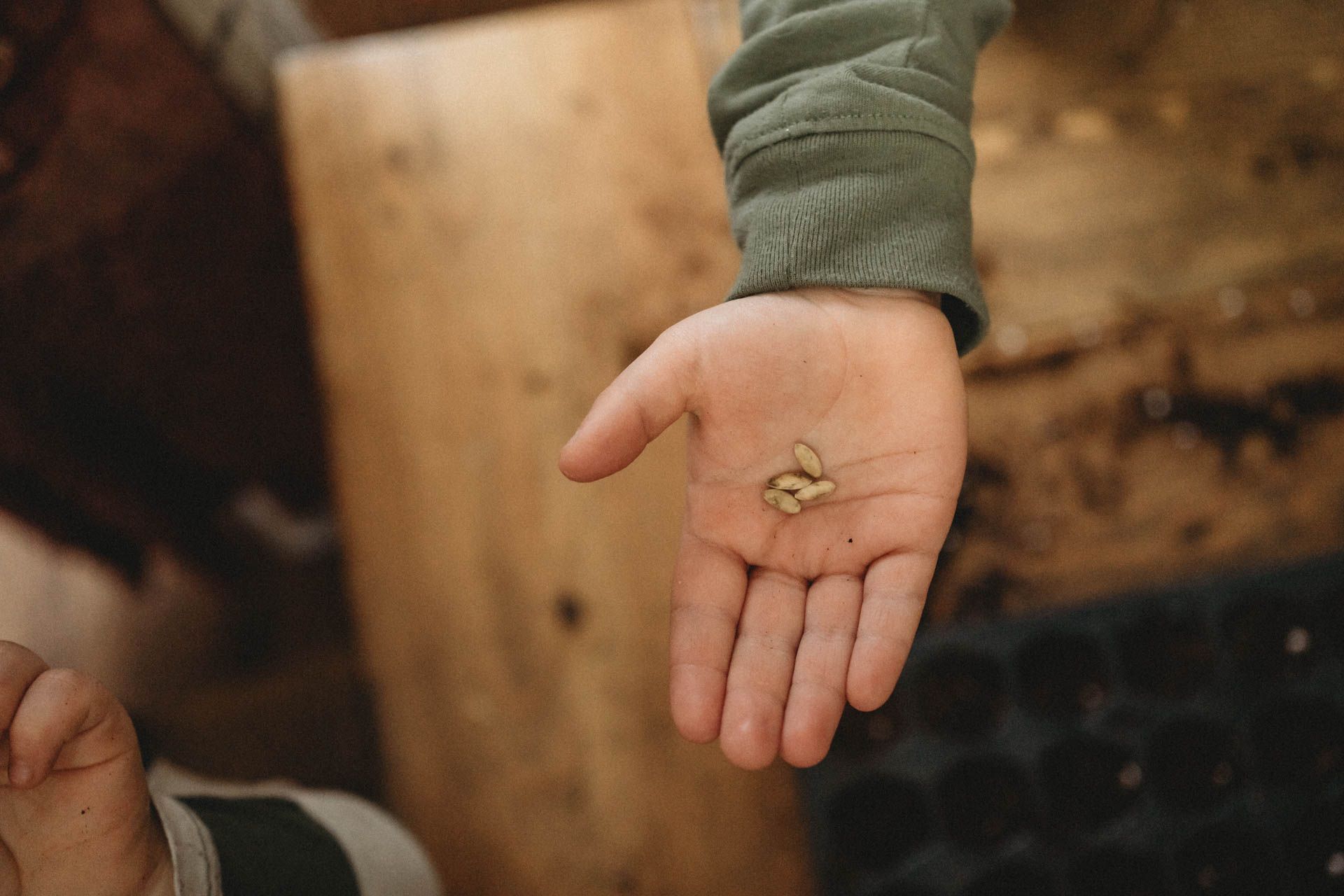 A small seed or object held gently in the palm of someone's hand.