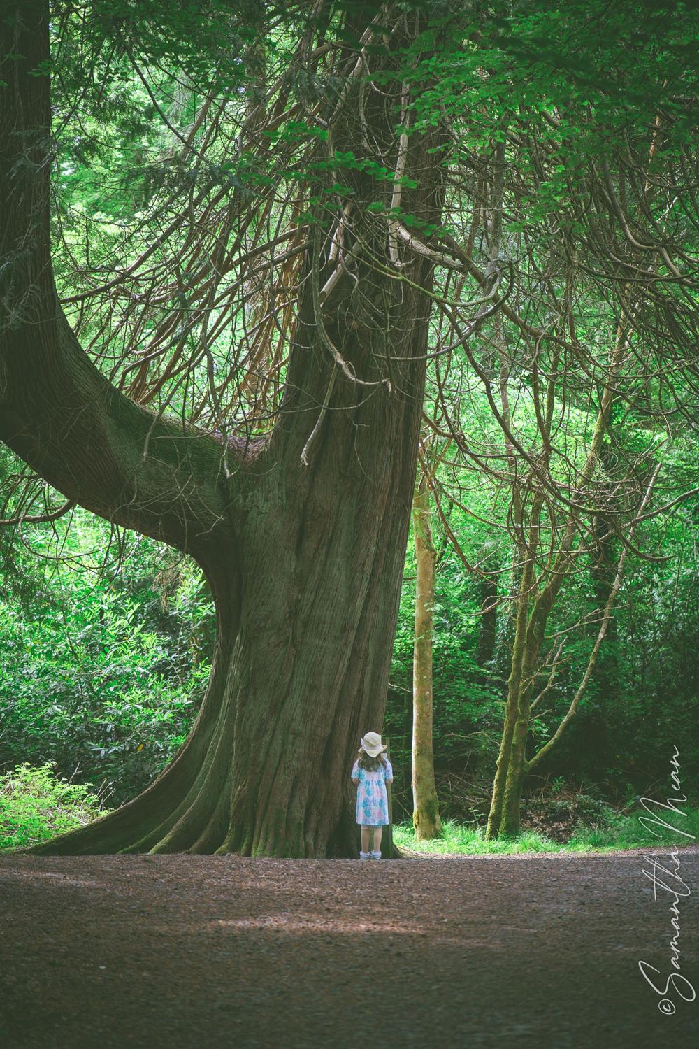 Lough Key, Boyle