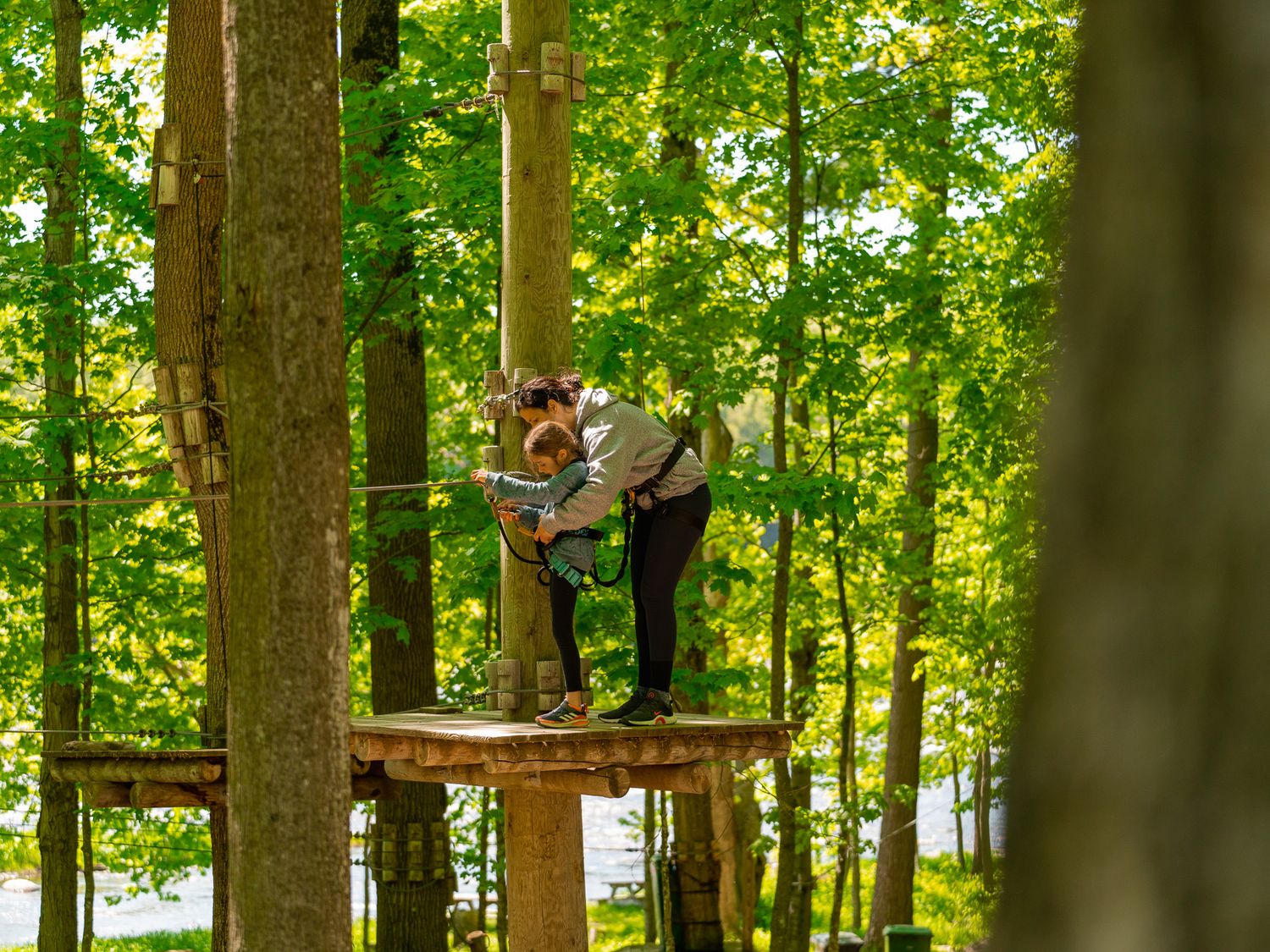 Extéria arbre en arbre parcours hébertisme famille amis parcours harnais tyrolienne corde sécurité Gaelle Tremblay