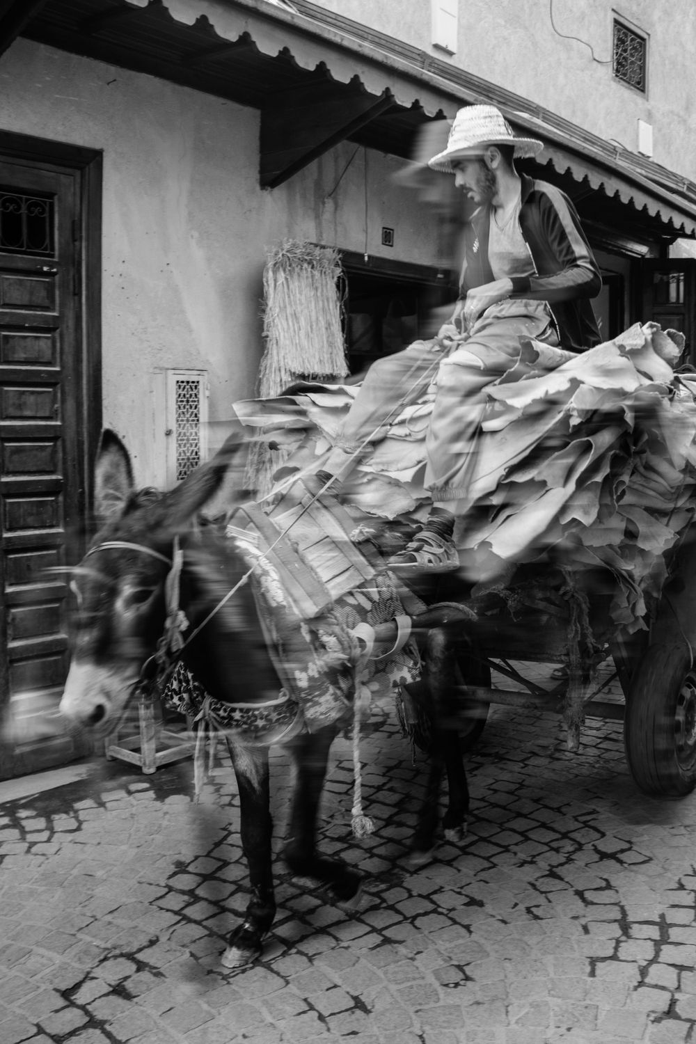 Travel photopgraphy Street of Marocco. Marokko reisfotografie. Fez, Marrakech, Agadir.
