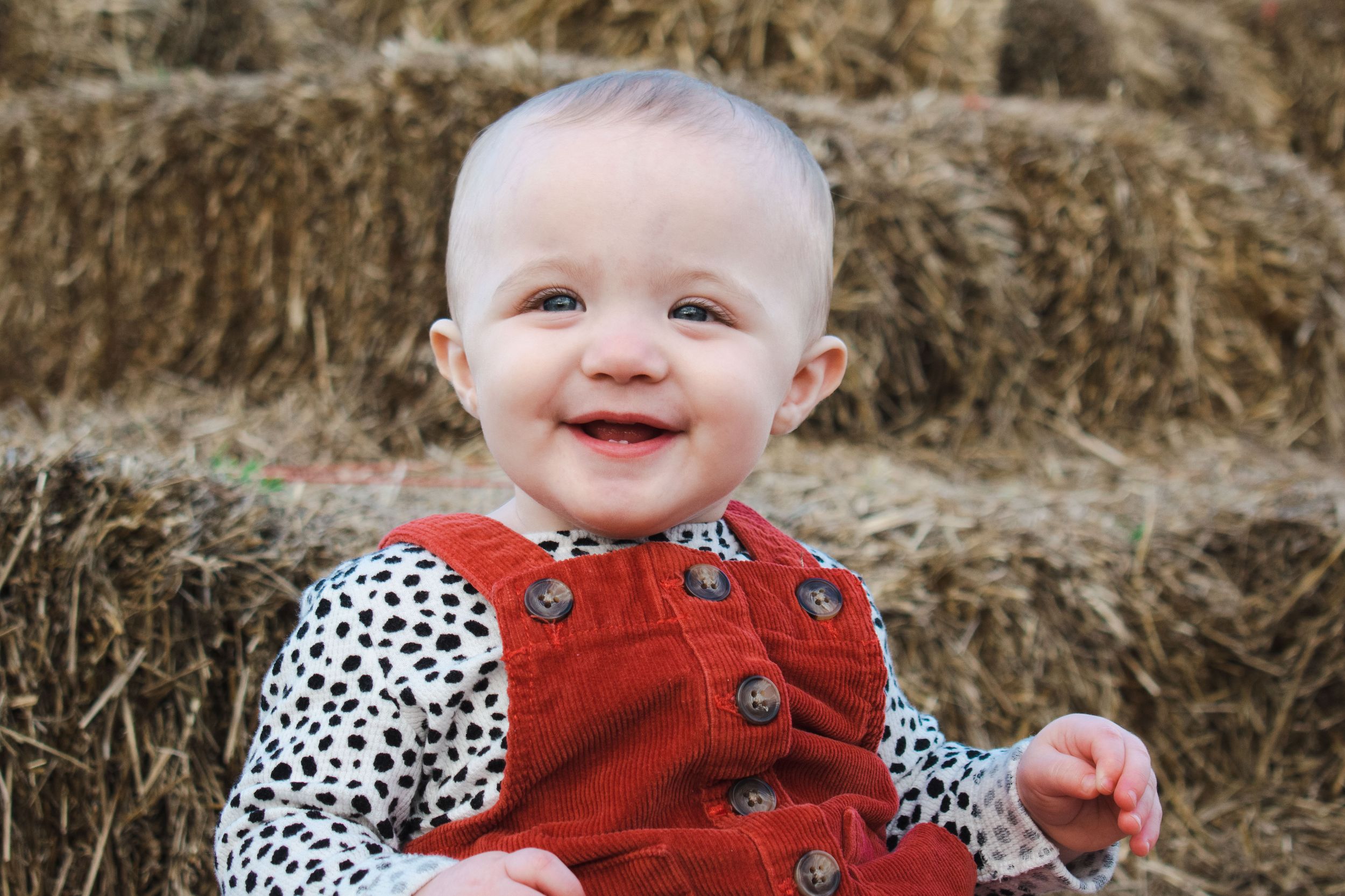 A baby girl giggles as she poses on a stack of hay bales