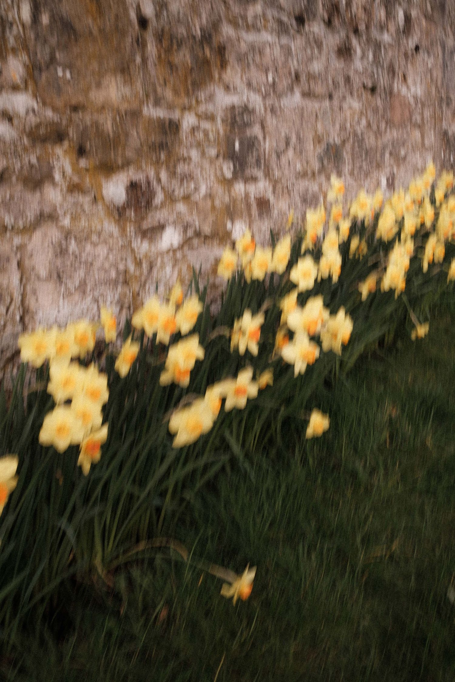 ecosse-scotland-edinburgh-photographe-camille-huguenot