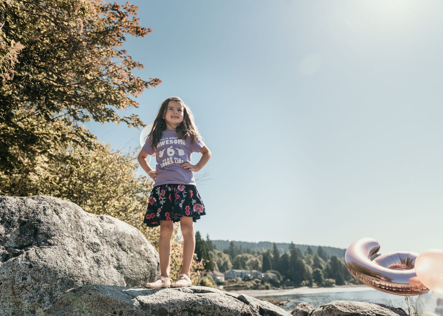 Standing confidently on a rocky outcrop with mountains and trees in the background.