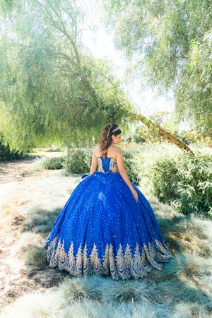 Royal blue ball gown with silver embroidery photographed under weeping willow trees.