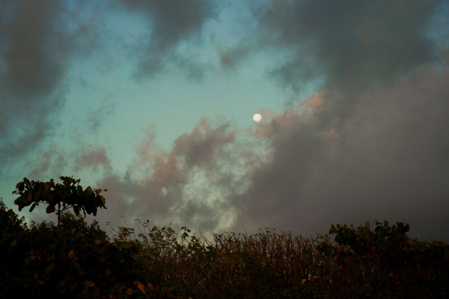Moody twilight sky with a full moon peeking through dark turquoise clouds over silhouetted trees.