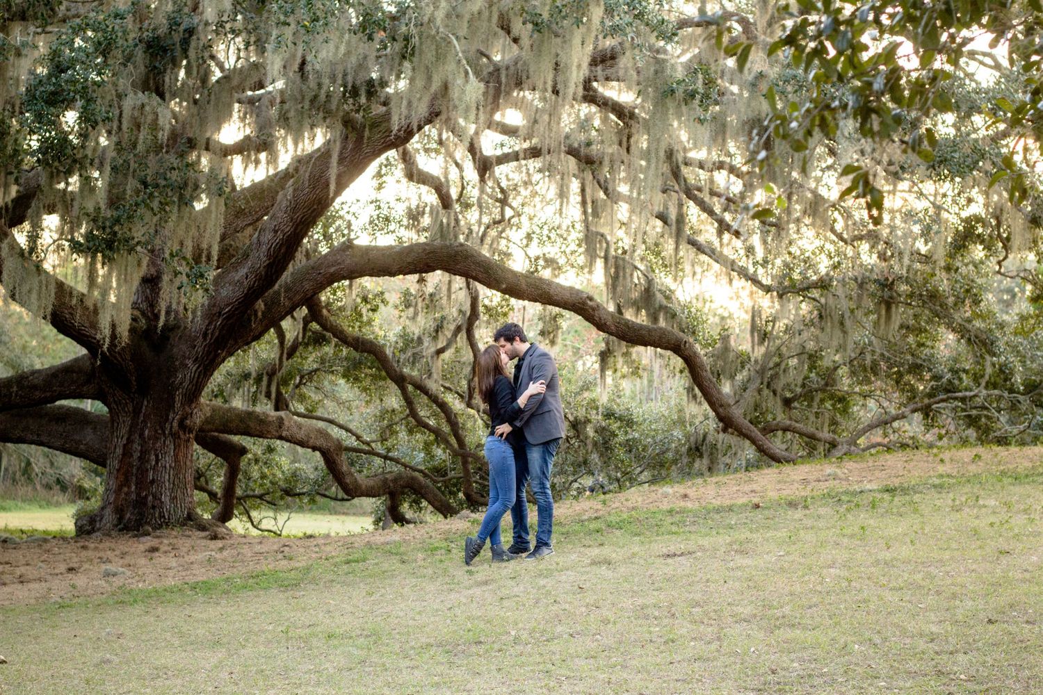 Family Photography, family photographer, affordable family photographer, tampa family photographer