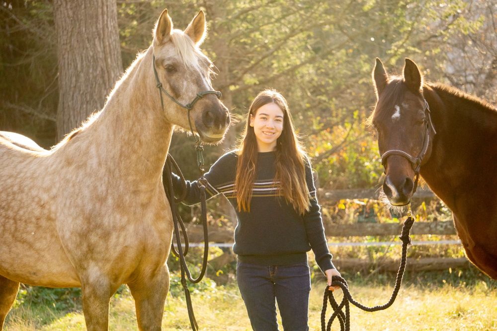 Equine photographer, Lehigh valley, black backgrounds, mo equine photography, horse and rider sessions, pet photography