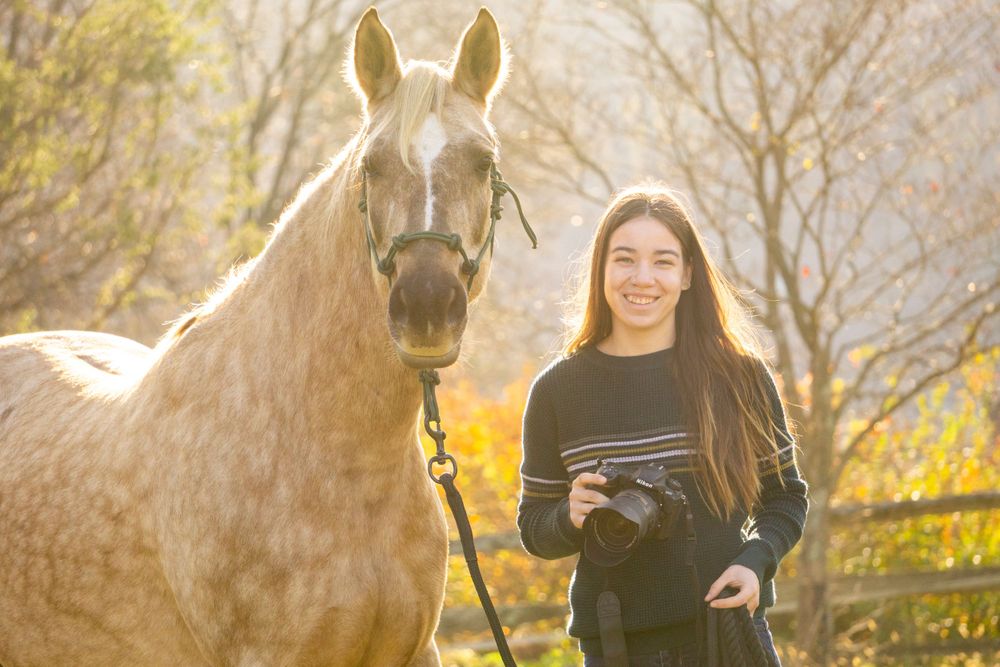 Equine photographer, Lehigh valley, black backgrounds, mo equine photography, horse and rider sessions, pet photography