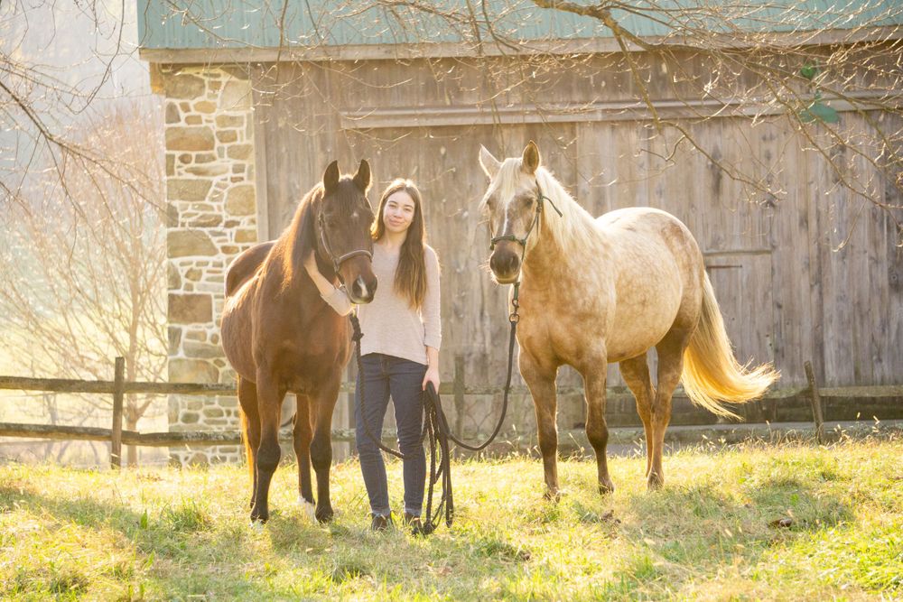 Equine photographer, Lehigh valley, black backgrounds, mo equine photography, horse and rider sessions, pet photography