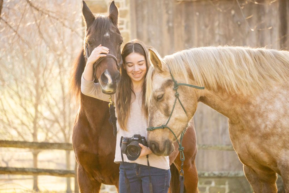 Equine photographer, Lehigh valley, black backgrounds, mo equine photography, horse and rider sessions, pet photography