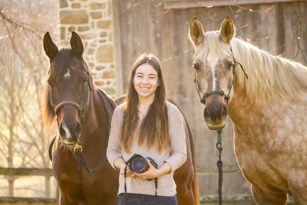 Equine photographer, Lehigh valley, black backgrounds, mo equine photography, horse and rider sessions, pet photography