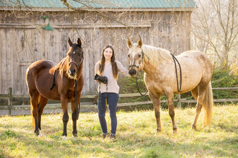 Equine photographer, Lehigh valley, black backgrounds, mo equine photography, horse and rider sessions, pet photography