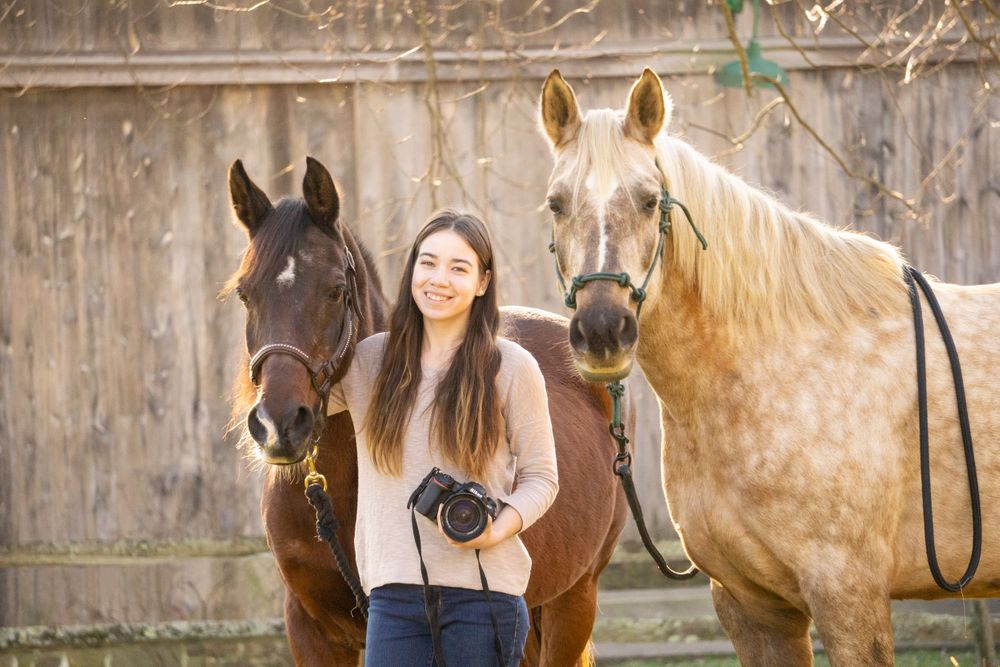 Equine photographer, Lehigh valley, black backgrounds, mo equine photography, horse and rider sessions, pet photography
