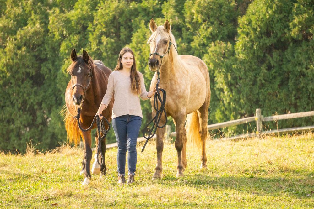 Equine photographer, Lehigh valley, black backgrounds, mo equine photography, horse and rider sessions, pet photography