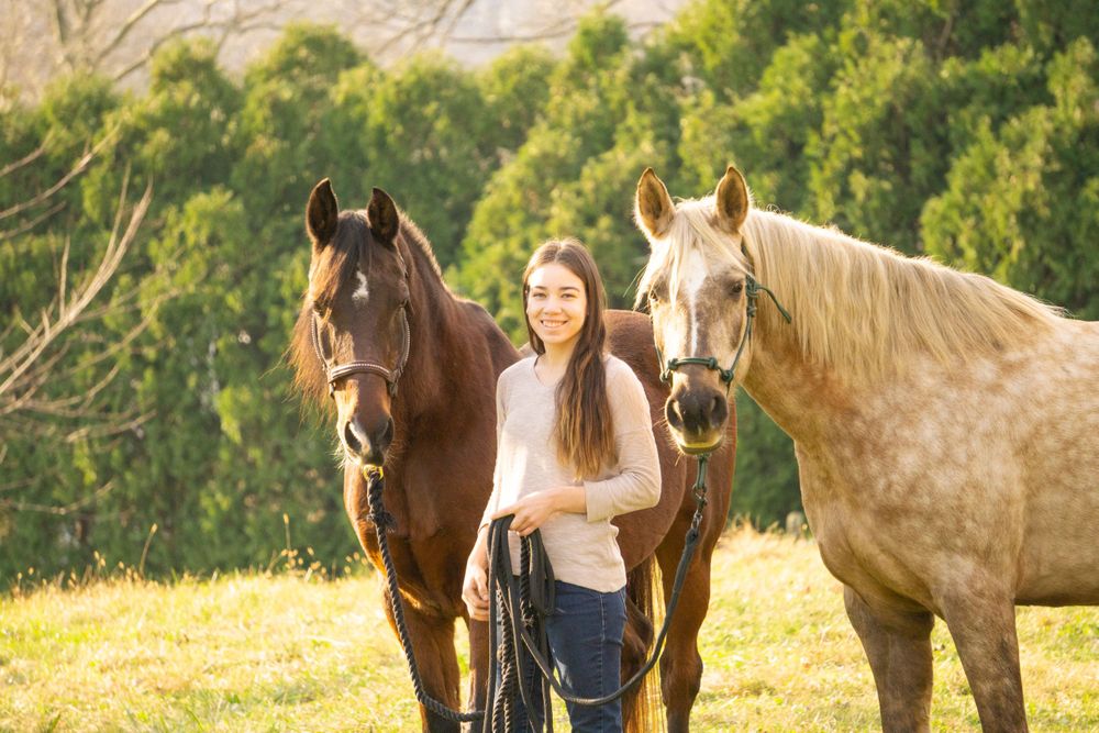 Equine photographer, Lehigh valley, black backgrounds, mo equine photography, horse and rider sessions, pet photography