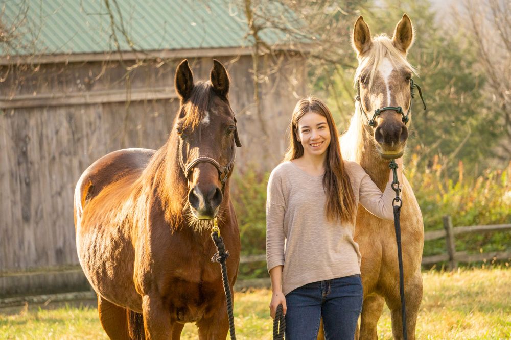Equine photographer, Lehigh valley, black backgrounds, mo equine photography, horse and rider sessions, pet photography