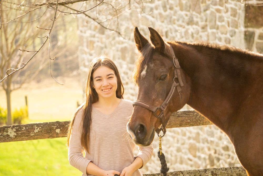 Equine photographer, Lehigh valley, black backgrounds, mo equine photography, horse and rider sessions, pet photography
