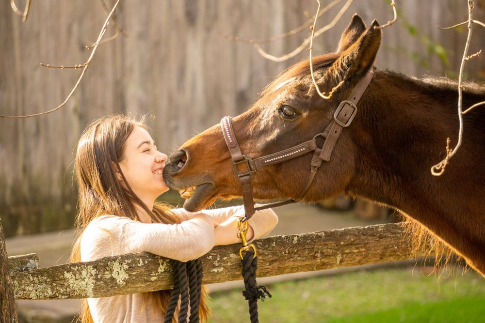 Equine photographer, Lehigh valley, black backgrounds, mo equine photography, horse and rider sessions, pet photography