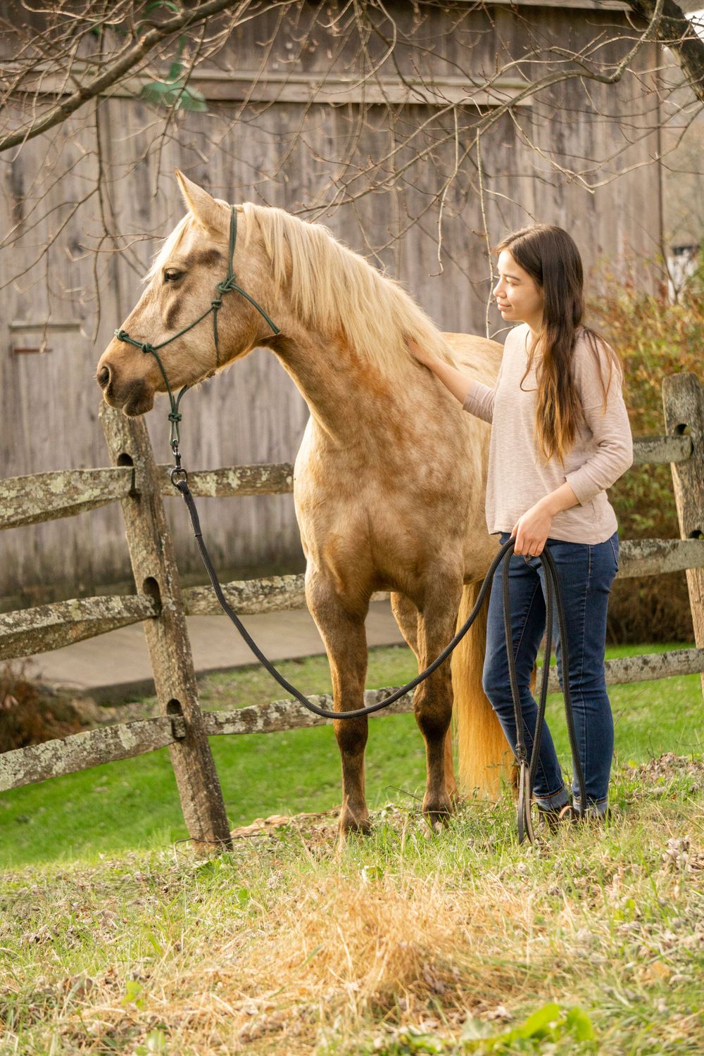 Equine photographer, Lehigh valley, black backgrounds, mo equine photography, horse and rider sessions, pet photography