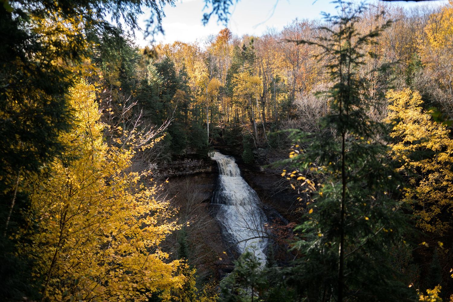 Nature Photography Michigan