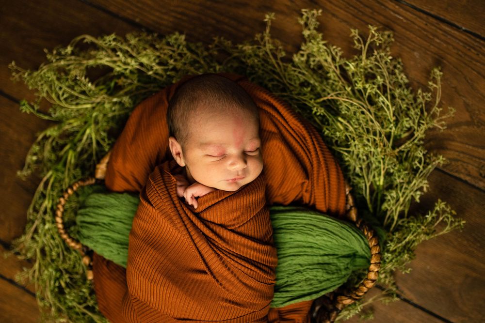 newborn