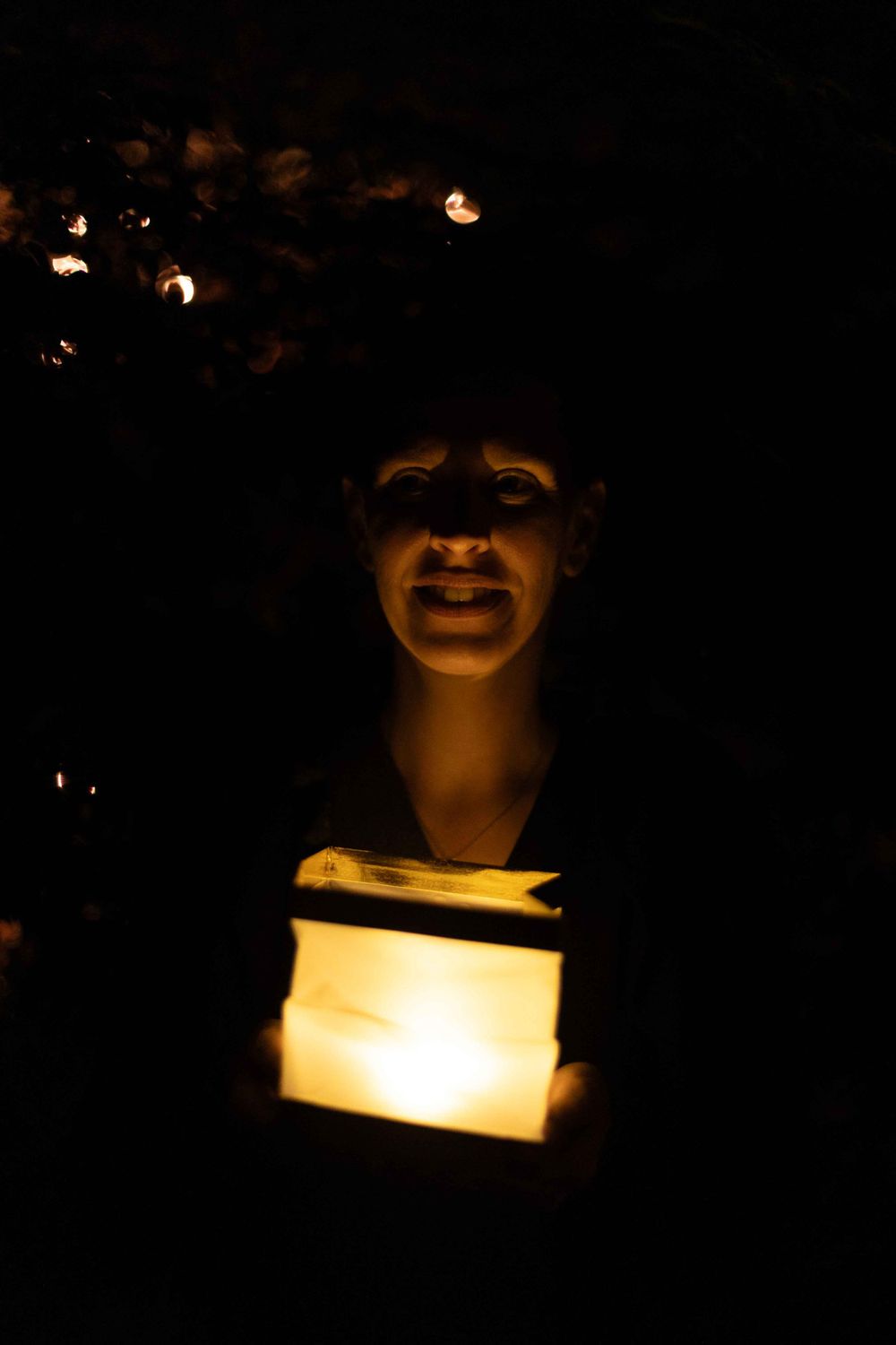 A lantern casts an eerie glow in the darkness creating dramatic shadows.