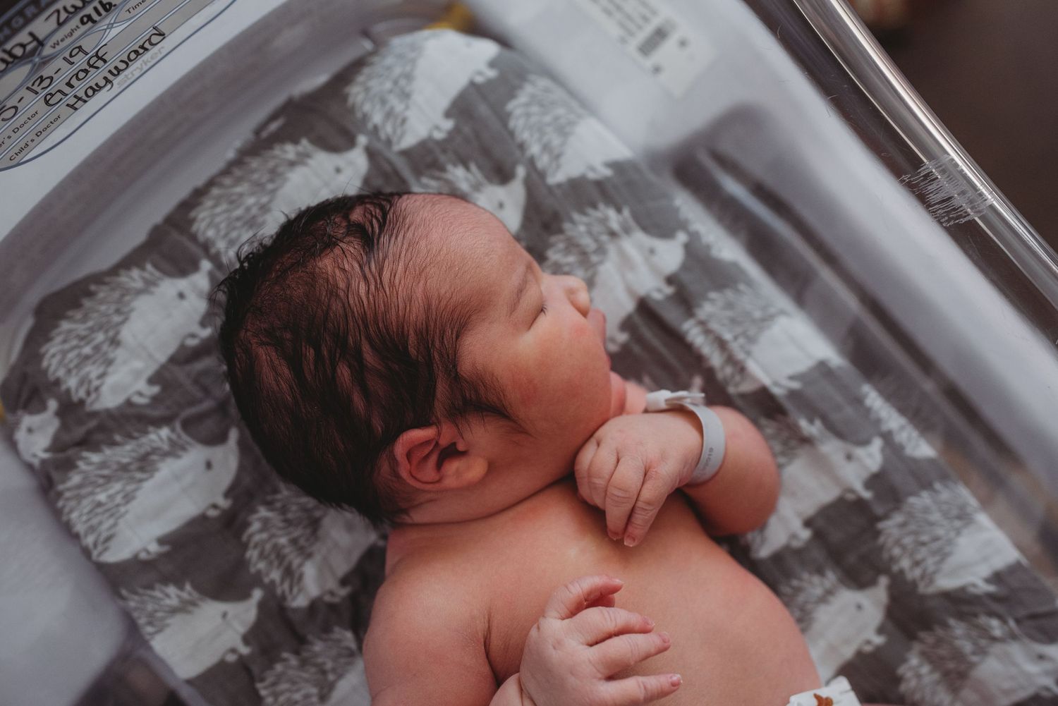 A newborn baby resting peacefully in a hospital bassinet.